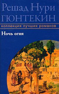 Книга Ночь огня