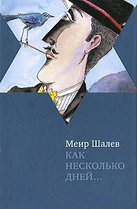 Книга Как несколько дней...