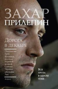 Книга Дорога в декабре