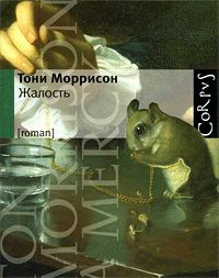 Книга Жалость