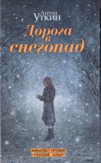 Книга Дорога в снегопад