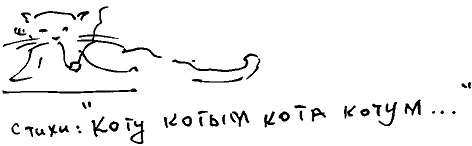 Кот