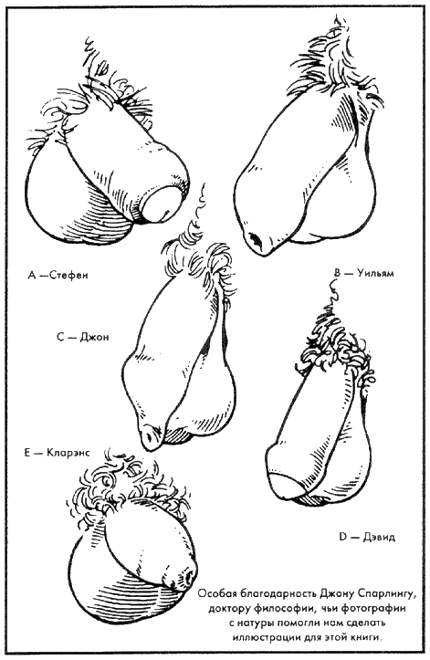 Библия секса