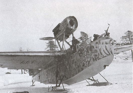 Асы над тундрой. Воздушная война в Заполярье. 1941-1944 годы