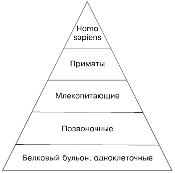 Будущее России. Алгоритм переворота