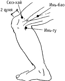 Большой атлас целительных точек. Китайская медицина на страже здоровья и долголетия