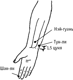 Большой атлас целительных точек. Китайская медицина на страже здоровья и долголетия