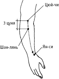 Большой атлас целительных точек. Китайская медицина на страже здоровья и долголетия