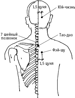 Большой атлас целительных точек. Китайская медицина на страже здоровья и долголетия