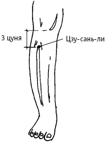 Большой атлас целительных точек. Китайская медицина на страже здоровья и долголетия