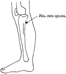 Большой атлас целительных точек. Китайская медицина на страже здоровья и долголетия