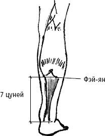 Большой атлас целительных точек. Китайская медицина на страже здоровья и долголетия