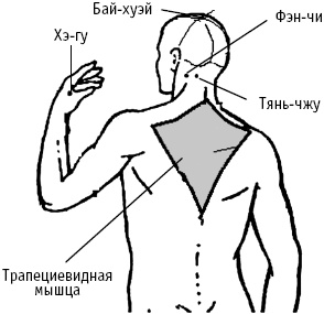 Большой атлас целительных точек. Китайская медицина на страже здоровья и долголетия