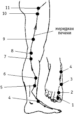 Большой атлас целительных точек. Китайская медицина на страже здоровья и долголетия