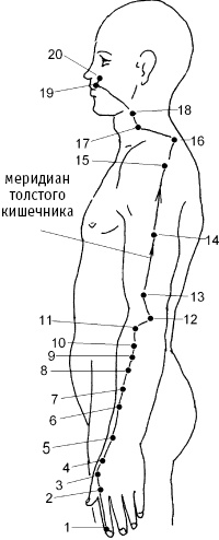 Большой атлас целительных точек. Китайская медицина на страже здоровья и долголетия