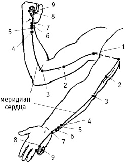 Большой атлас целительных точек. Китайская медицина на страже здоровья и долголетия