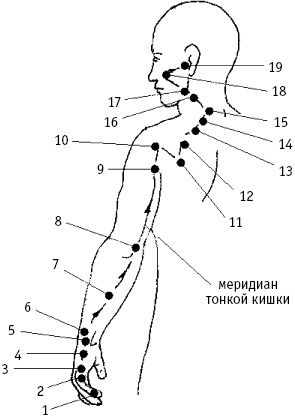 Большой атлас целительных точек. Китайская медицина на страже здоровья и долголетия