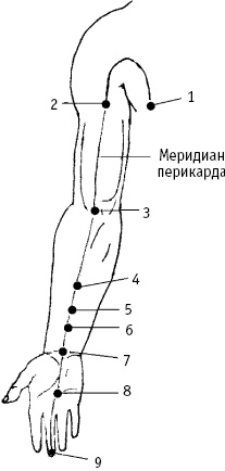 Большой атлас целительных точек. Китайская медицина на страже здоровья и долголетия