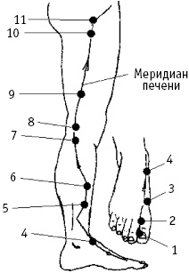 Большой атлас целительных точек. Китайская медицина на страже здоровья и долголетия