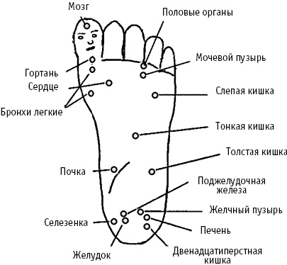 Большой атлас целительных точек. Китайская медицина на страже здоровья и долголетия