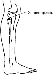 Большой атлас целительных точек. Китайская медицина на страже здоровья и долголетия