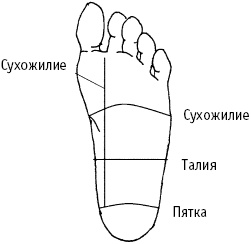 Большой атлас целительных точек. Китайская медицина на страже здоровья и долголетия