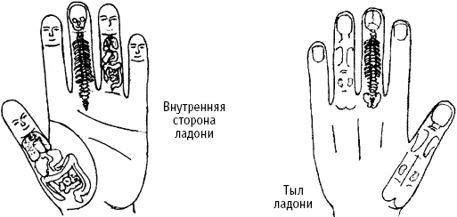 Большой атлас целительных точек. Китайская медицина на страже здоровья и долголетия