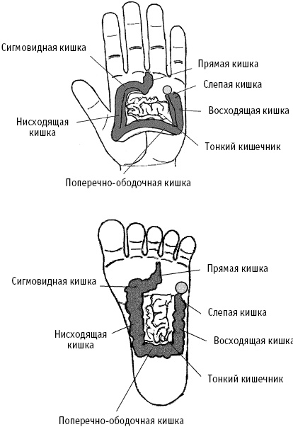 Большой атлас целительных точек. Китайская медицина на страже здоровья и долголетия