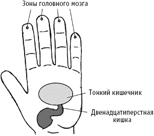 Большой атлас целительных точек. Китайская медицина на страже здоровья и долголетия