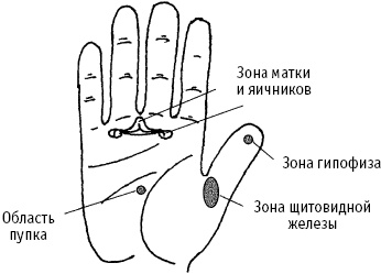 Большой атлас целительных точек. Китайская медицина на страже здоровья и долголетия