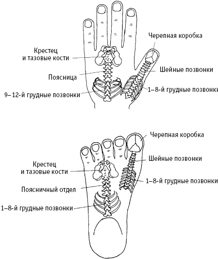 Большой атлас целительных точек. Китайская медицина на страже здоровья и долголетия