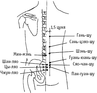 Большой атлас целительных точек. Китайская медицина на страже здоровья и долголетия