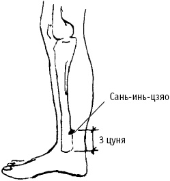 Большой атлас целительных точек. Китайская медицина на страже здоровья и долголетия