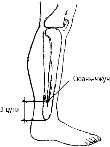 Большой атлас целительных точек. Китайская медицина на страже здоровья и долголетия