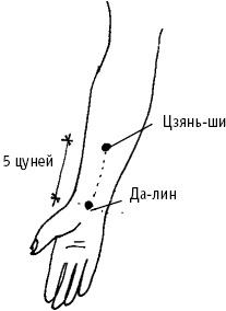 Большой атлас целительных точек. Китайская медицина на страже здоровья и долголетия