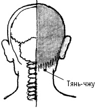 Большой атлас целительных точек. Китайская медицина на страже здоровья и долголетия