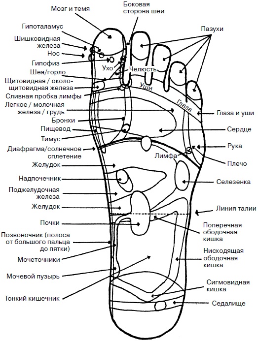 Целительные точки нашего тела. Практический атлас