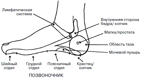 Целительные точки нашего тела. Практический атлас