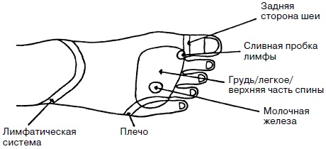 Целительные точки нашего тела. Практический атлас