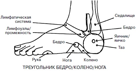 Целительные точки нашего тела. Практический атлас