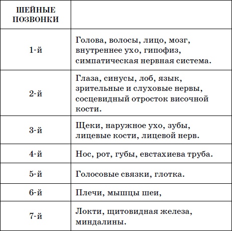 Целительные точки нашего тела. Практический атлас