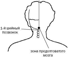 Простукивание активных точек - метод пробуждения целительной энергии. С подробным атласом