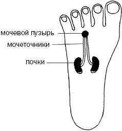 Простукивание активных точек - метод пробуждения целительной энергии. С подробным атласом