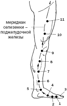 Простукивание активных точек - метод пробуждения целительной энергии. С подробным атласом