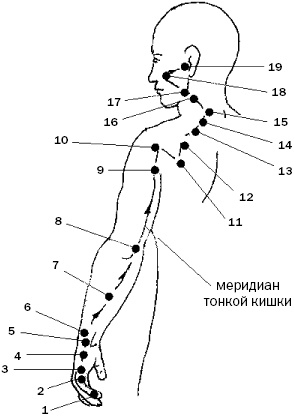 Простукивание активных точек - метод пробуждения целительной энергии. С подробным атласом