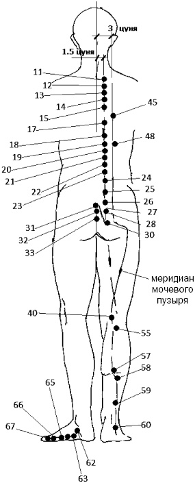 Простукивание активных точек - метод пробуждения целительной энергии. С подробным атласом