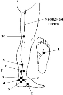 Простукивание активных точек - метод пробуждения целительной энергии. С подробным атласом