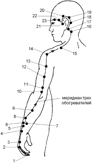 Простукивание активных точек - метод пробуждения целительной энергии. С подробным атласом