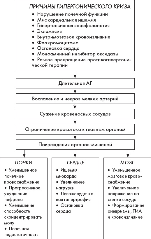 Скорая помощь. Руководство для фельдшеров и медсестер