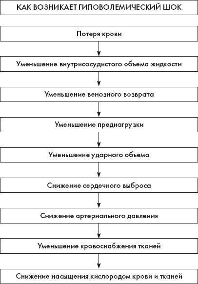 Скорая помощь. Руководство для фельдшеров и медсестер